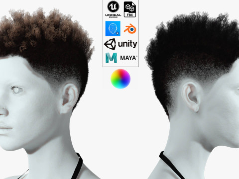 Hair Afro Short Female 3D Модель