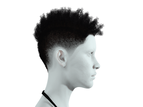 Hair Afro Short Female 3D Model