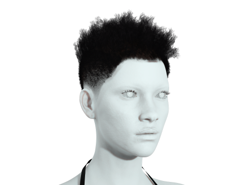 Hair Afro Short Female 3D Model