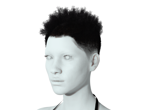 Hair Afro Short Female 3D Model