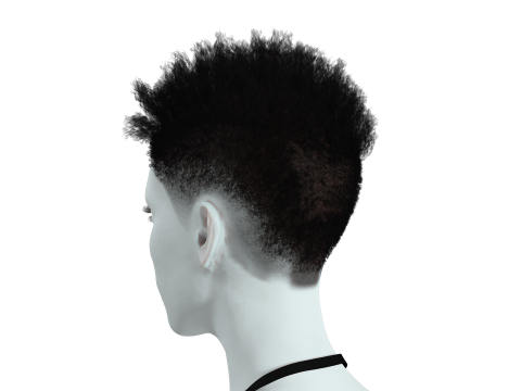 Hair Afro Short Female 3D Model