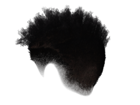 Hair Afro Short Female 3D Model