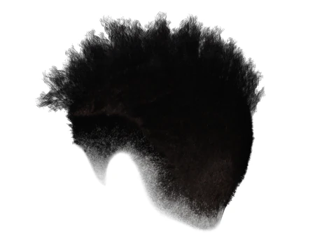 Hair Afro Short Female 3D Model