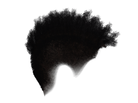 Hair Afro Short Female 3D Model