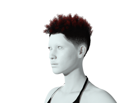 Hair Afro Short Female 3D Model