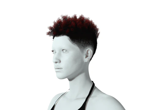 Hair Afro Short Female 3D Model
