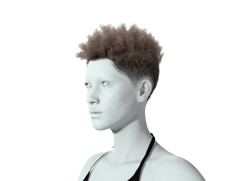Hair Afro Short Female 3D Model