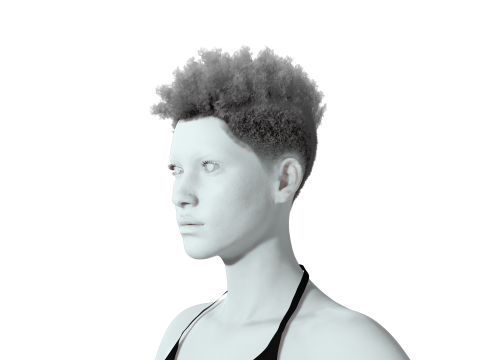 Hair Afro Short Female 3D Model