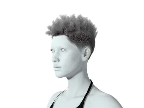 Hair Afro Short Female 3D Model