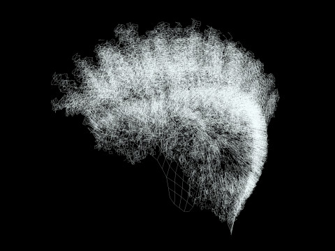 Hair Afro Short Female 3D Model