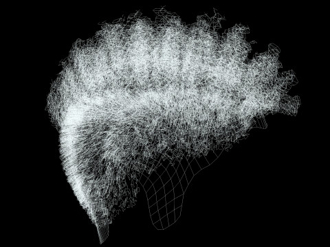 Hair Afro Short Female 3D Model