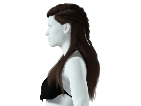 Realistic Female Long hair colorable cards 3D Modell