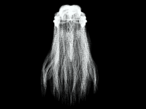 Realistic Female Long hair colorable cards 3D Modell