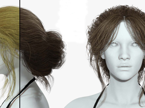 Female hair poly cards realistic 3D Model