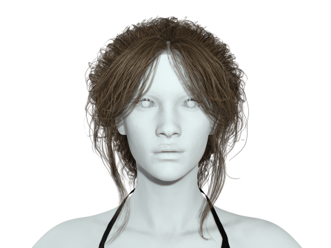 Female hair poly cards realistic 3D Model