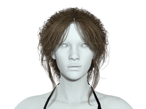 Female hair poly cards realistic 3D Model
