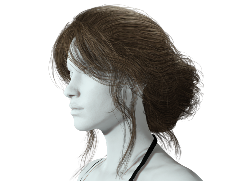 Female hair poly cards realistic 3D Model