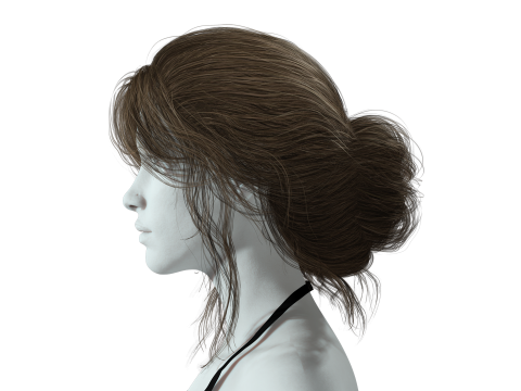 Female hair poly cards realistic 3D Model