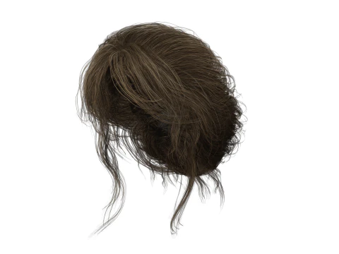 Female hair poly cards realistic 3D Model