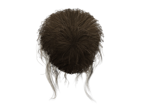 Female hair poly cards realistic 3D Model