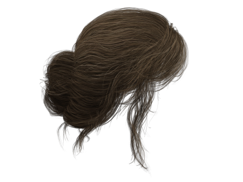 Female hair poly cards realistic 3D Model