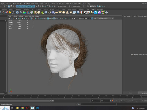 Female hair poly cards realistic 3D Model
