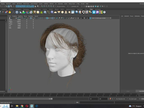 Female hair poly cards realistic 3D Model