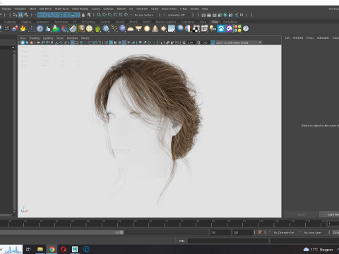 Female hair poly cards realistic 3D Model