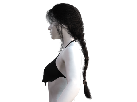 Realistic Female hair braid 3D Модель