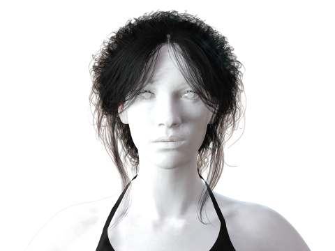 Realistic Female hair braid 3D Модель