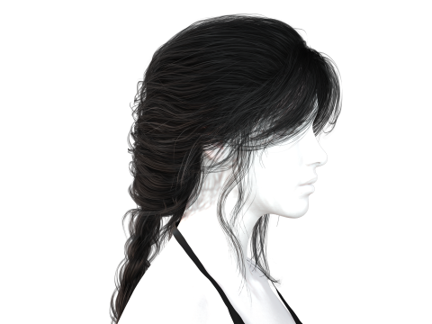 Realistic Female hair braid 3D Модель