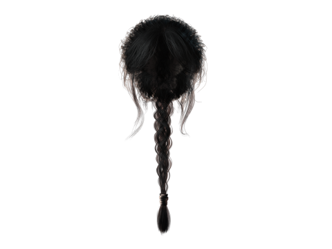 Realistic Female hair braid 3D Модель