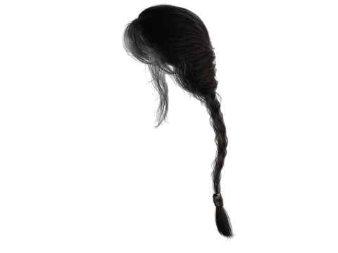 Realistic Female hair braid 3D Модель