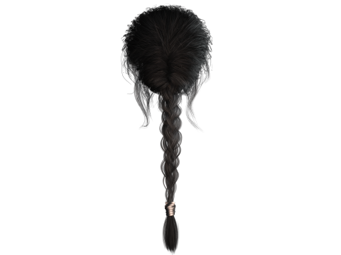 Realistic Female hair braid 3D Модель
