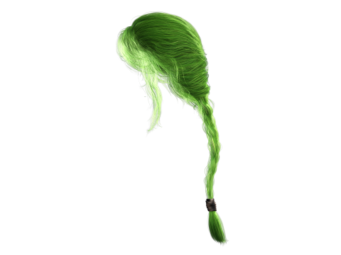Realistic Female hair braid 3D Модель
