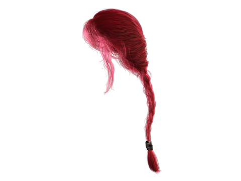 Realistic Female hair braid 3D Модель
