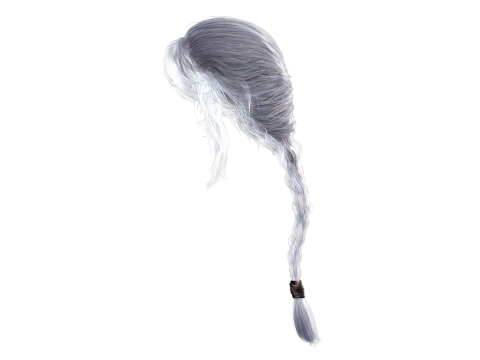 Realistic Female hair braid 3D Модель