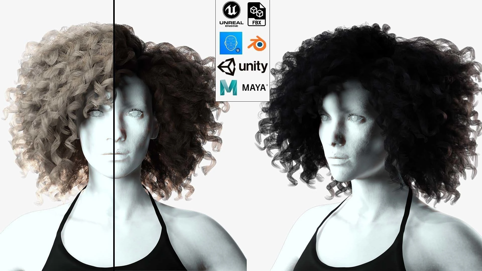 Realistic Female hair curly 3D Model .c4d .max .obj .3ds .fbx .stl .blend 