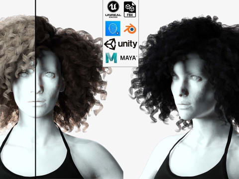 Realistic Female hair curly 3D Модель