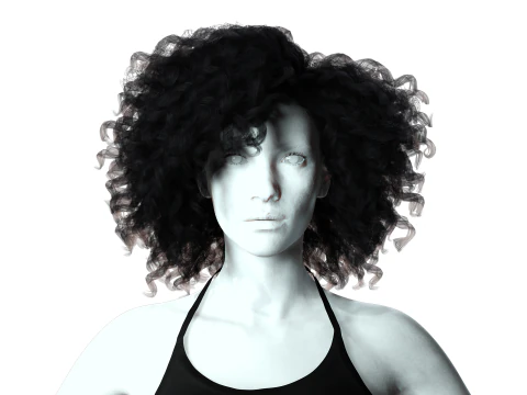 Realistic Female hair curly 3D Model