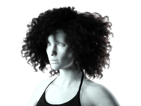 Realistic Female hair curly 3D Model