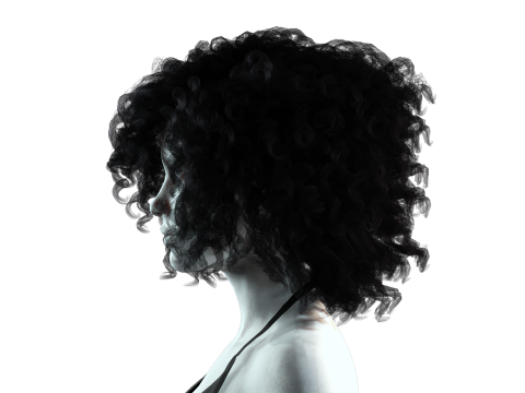 Realistic Female hair curly Modello 3D