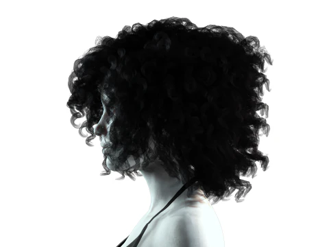 Realistic Female hair curly 3D Model