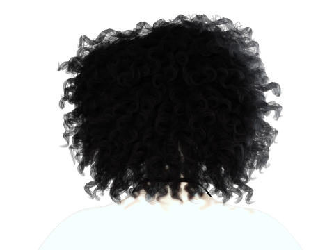 Realistic Female hair curly Modello 3D