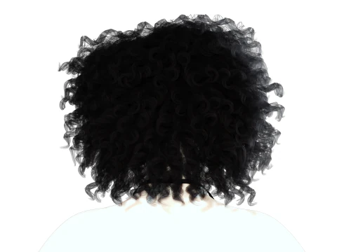 Realistic Female hair curly 3D Model
