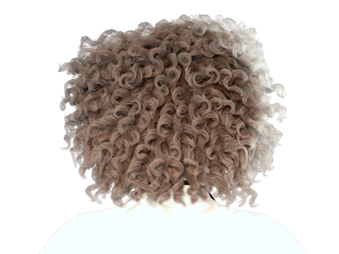 Realistic Female hair curly Modello 3D