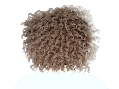 Realistic Female hair curly 3D Model