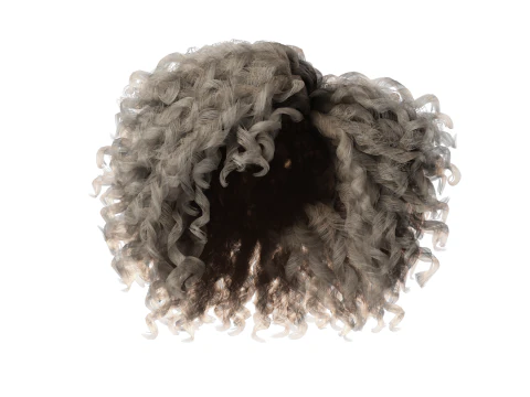 Realistic Female hair curly 3D Model