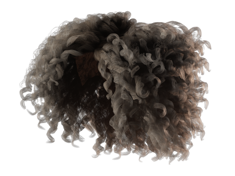 Realistic Female hair curly Modello 3D