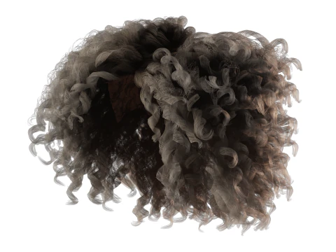 Realistic Female hair curly 3D Model